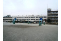 【小学校】東金子小学校　約400m