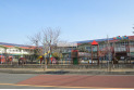 【幼稚園・保育園】白梅幼稚園　約427m
