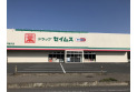 【ドラッグストア】ドラッグセイムス入間下藤沢店　約290m