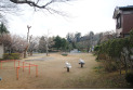 【公園】八津池東公園　約550m