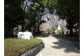 【公園】富士見公園　約410m