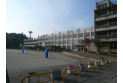 【小学校】東金子小学校　約400m