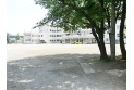 【小学校】神宝小学校　約240m