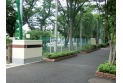 【小学校】練馬区立大泉学園桜小学校　約400m
