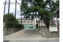 【小学校】練馬区立大泉第二小学校　約280m