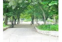 【公園】大泉公園　約850m