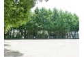 【公園】神山堂阪公園　約60m