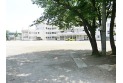 【小学校】東久留米市立神宝小学校　約550m