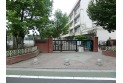 【小学校】練馬区立大泉学園緑小学校　約730m