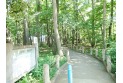 【公園】西原自然園　約400m