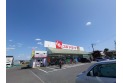 【ドラッグストア】スギドラッグ新座店　約310m