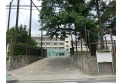 【小学校】練馬区立大泉第二小学校　約950m