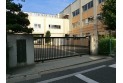 【小学校】練馬区立大泉第四小学校　約850m