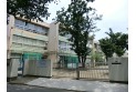 【小学校】練馬区立橋戸小学校　約700m