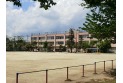 【小学校】新座市立西堀小学校　約450m