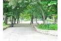 【公園】大泉公園　約700m