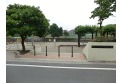 【公園】大泉井頭公園　約700m