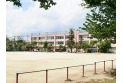 【小学校】西堀小学校　約340m