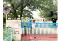 【幼稚園・保育園】田無向ヶ丘幼稚園　約550m