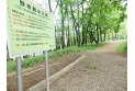 【公園】野寺親水公園　約650m