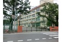 【小学校】練馬区立大泉学園小学校　約250m