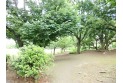 【公園】立野公園　約800m