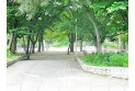 【公園】大泉公園　約610m