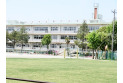 【小学校】東久留米市立第六小学校　約800m