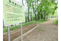 【公園】野寺親水公園　約550m