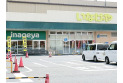 【スーパー】いなげや大泉学園店　約500m
