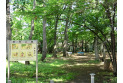 【公園】南町公園　約400m