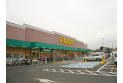【スーパー】いなげや新座野寺店　約800m
