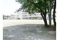 【小学校】東久留米市立神宝小学校　約240m