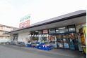 【コンビニ】ローソンストア100花小金井店　約320m