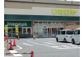【スーパー】いなげや大泉学園店　約1,100m