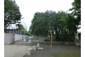 【中学校】練馬区立大泉学園桜中学校　約1,000m