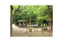 【公園】滝山公園　約600m