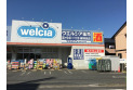 【ドラッグストア】ウエルシア練馬高松店　約60m