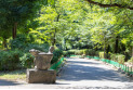 【公園】春の風公園　約680m
