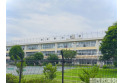 【小学校】練馬区立北原小学校　約240m