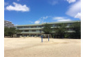 【小学校】新座市立栄小学校　約800m