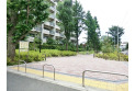 【公園】南田中いちょう並木公園　約600m