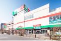 【スーパー】サミットストア向台町店　約800m