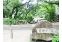 【公園】善福寺公園　約800m