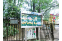 【幼稚園・保育園】みどりが丘保谷幼稚園　約800m