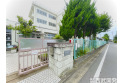【小学校】練馬区立泉新小学校　約460m