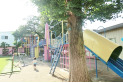 【幼稚園・保育園】田無いづみ幼稚園　約700m