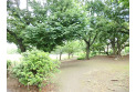 【公園】立野公園　約950m