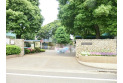 【公園】大泉交通公園　約750m