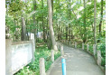 【公園】西原自然公園　約650m